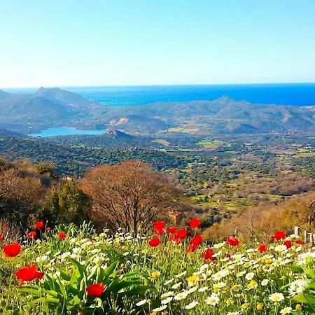 Vacancorse Maison U Canale Feriehus *