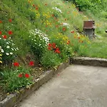 Vacancorse Maison U Canale Tatil Evi *