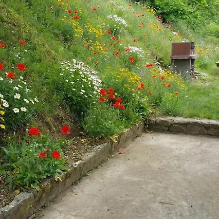 Vacancorse Maison U Canale Prázdninový dům *